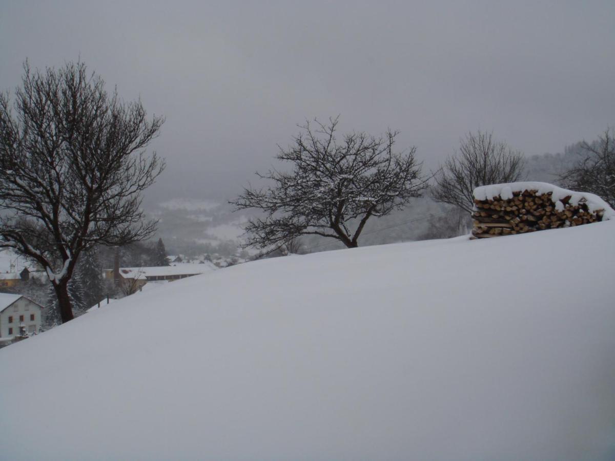Gite De Famille Dans Les Vosges سانت موريس سور موسيل المظهر الخارجي الصورة