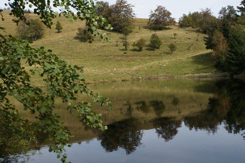 Gite De Famille Dans Les Vosges سانت موريس سور موسيل المظهر الخارجي الصورة