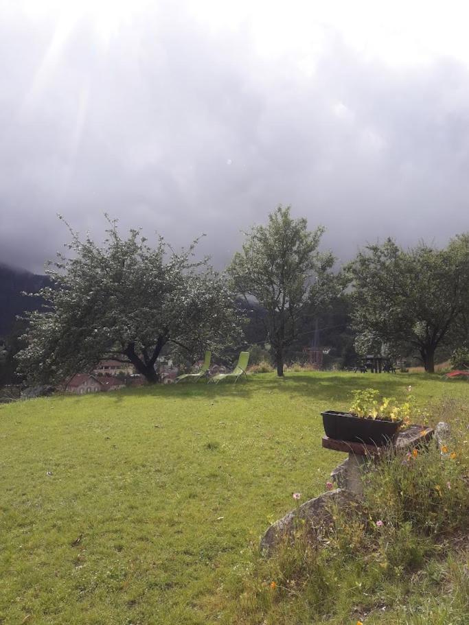 Gite De Famille Dans Les Vosges سانت موريس سور موسيل المظهر الخارجي الصورة
